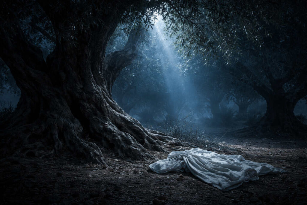 Olivo milenario bajo la luz de la luna en Getsemaní, simbolizando la oración de Jesús.